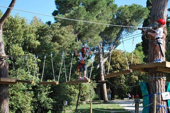 Parco Avventura Cerrano